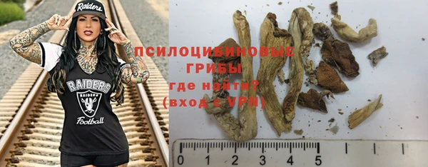 не бодяженный Белокуриха