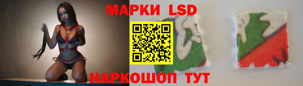 Лсд 25 экстази ecstasy  Вход с VPN  Гатчина 