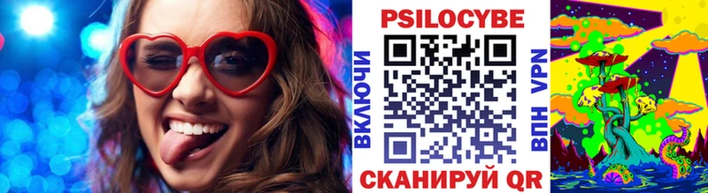 kraken вход  Гатчина  Галлюциногенные грибы Psilocybine cubensis  купить наркотик 