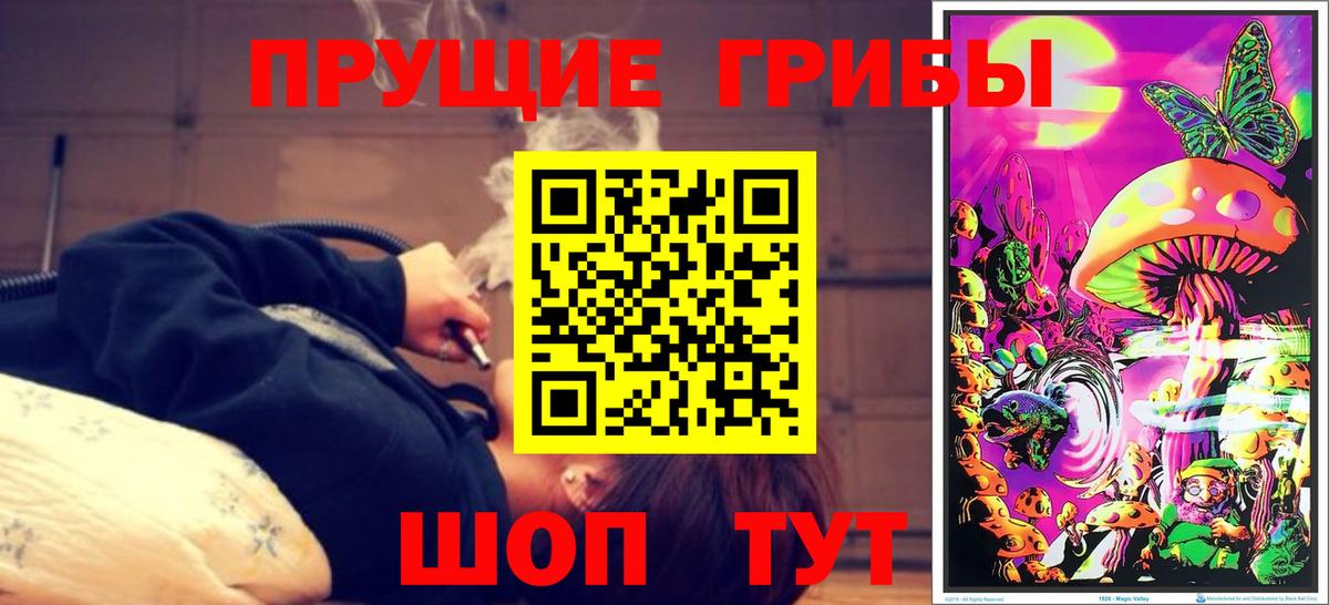 Псилоцибиновые грибы Cubensis  Вход с VPN  Гатчина  Псилоцибиновые грибы Cubensis 